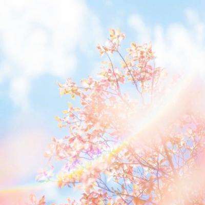 半岛·综合体育官方网站